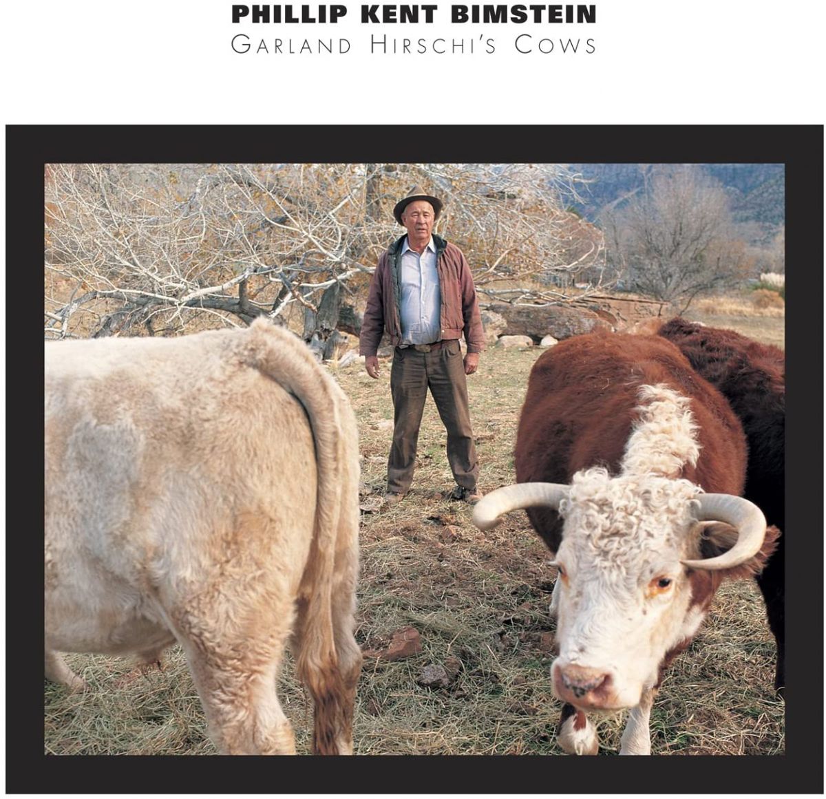 ����š�CD Bimstein, P.K. Garland Hirchis Cows/Louie Lo ST205 Starkland /00110