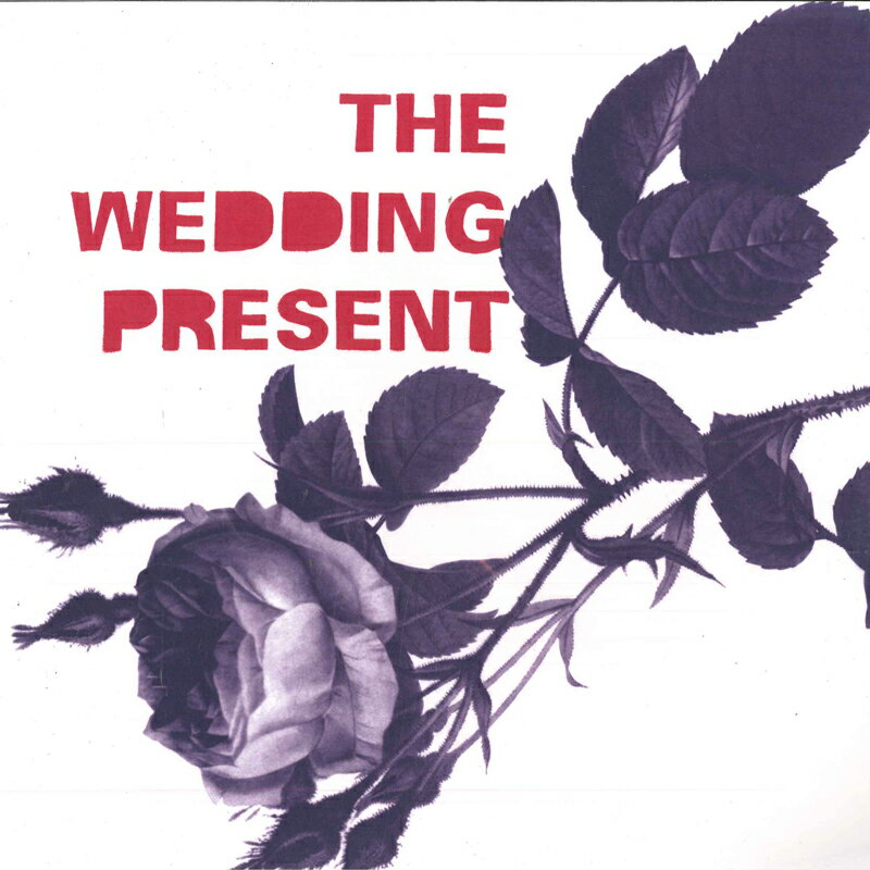 ・アーティスト Wedding Present ・タイトル Tommy 30 ・レーベル・型番 HAPPY HAPPY BIRTHDAY TO ME RECORDS HHBTM203 ・フォーマット LPレコード ・コンディション(盤) 新品 (M) ・コンディション(ジャケット) 新品 (M) ・コンディション(帯) オビなし ・特記事項 【未開封】 サンプル画像です。実際の商品の画像ではありません 商品写真はバーコード/カタログ番号に対応したサンプル画像ですので、お送りする商品の画像ではありません。帯やライナーなどの付属品は、特記事項に記載されている場合のみ含まれます。プロモやカラーレコードなどの仕様についても、該当する場合のみ特記事項に記載しています。 【ご購入前に必ずご確認ください】 ・本店サイト(www.recordcity.jp)とは価格、送料が違います ・本店サイト、その他支店のオーダーとは同梱発送できません ・注文確定後に別の注文を頂いた場合、注文同士の同梱は致しかねます。 ・別倉庫から発送しているため、店頭受け渡しは対応しておりません ・一部商品は他の通販サイトでも販売しているため、ご注文のタイミングによっては商品のご用意ができない場合がございます。 ・土日祝日はお休みです 金曜・祝前日9時以降のご連絡またはご入金は、返答または発送が週明け・祝日明けに順次対応となります。 ・ご購入後のキャンセル不可 ご購入後のキャンセルはいかなる理由においてもお受けできません。ご了承の上、ご購入くださいませ。 ・日本郵便(ゆうパック/ゆうメール)によるお届けになります。 ・中古品であることをご理解ください 当ストアでは中古商品を主に販売しております。中古品であることをご理解の上ご購入ください。また、一部商品はRecordCityオンラインストアで試聴可能です。 ・返品について お客様のご都合による返品は一切承っておりません。 表記の内容と実際の商品に相違がある場合、また針飛び等で返品・返金をご希望される場合は、商品の到着後1週間以内にご連絡ください。商品の返送をこちらで確認後、キャンセル・返金を行います。 コンディションVG以下の商品は返品できません。プレイに影響のない表面のこすれ傷、プレス起因のノイズ盤は返品の対象外です。 【コンディション表記】 ・ほぼ新品(M-)(Like New) 完全な新品。未使用。当店ではほぼ使用しません ・非常に良い(EX)(Excellent) 中古盤として美品な状態。わずかな経年を感じるものの傷みを感じさせない、当店基準で最高の状態 ・良い(VG+)(Very Good Plus) 丁寧に扱われた中古品で、軽い使用感がみられる。 ・可(VG)(Acceptable) 使い込まれた中古品で、「良い」よりもさらに使用感がみられる。 ・悪い(VG-)(Bad) 状態が悪いアイテム。使用の保障はなく、再生不可、針飛び、目立つノイズがあるかもしれない。状態によるクレーム不可。返品不可。 ・非常に悪い(G)(Very Bad) 「悪い」よりさらに状態が悪いアイテム。使用の保障はなく、再生不可、針飛び、目立つノイズがあるかもしれない。状態によるクレーム不可。返品不可。 ・ジャンク(Fair)(Junk/Fair) 割れている、反っている、水ダメージがある、カビ、ジャケットが分離している、ひどい書き込み、ひどい擦れなど最低の状態。使用の保障はなく、再生不可、針飛び、目立つノイズがあるかもしれない。状態によるクレーム不可。返品不可。 ・ジャンク(Poor)(Junk/Poor) 割れている、反っている、水ダメージがある、カビ、ジャケットが分離している、ひどい書き込み、ひどい擦れなど最低の状態。使用の保障はなく、再生不可、針飛び、目立つノイズがあるかもしれない。状態によるクレーム不可。返品不可。