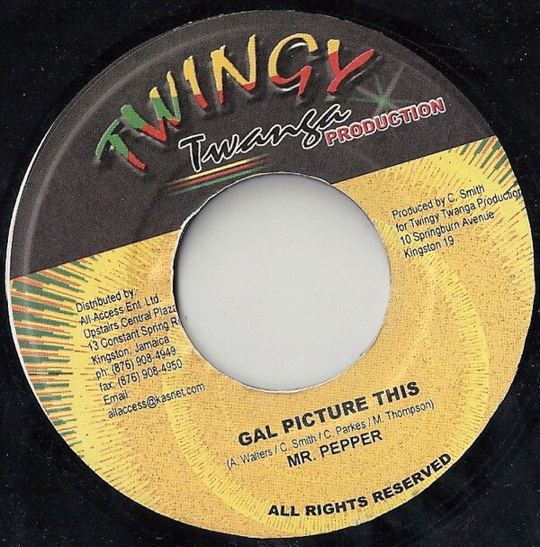 Artist Name: M - 【中古】ジャマイカ7" Mr. Peppa / Ghost Gal Picture This / A New Day NONE Twingy Twanga Production /00080