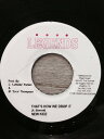 【中古】ジャマイカ7" New Kidz / Franz Capone Thats How We Drop It / School Daze NONE Legends (7) /00080