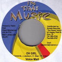 【中古】ジャマイカ7" Voicemail / Delishus Oh Girl / Dont Call Me NONE In Time Music /00080(2)