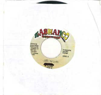【中古】ジャマイカ7" Lukie D Are You Sure NONE RASHANCO /00080 【中古】ジャマイカ7" Lukie D Are You Sure NONE RASHANCO /00080