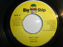【中古】ジャマイカ7" Kari Jess Dont Stop NONE Big Ship /00080(2)