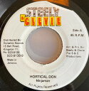 【中古】ジャマイカ7" Ninjaman Hortical Don NONE Steely & Clevie Records /00080