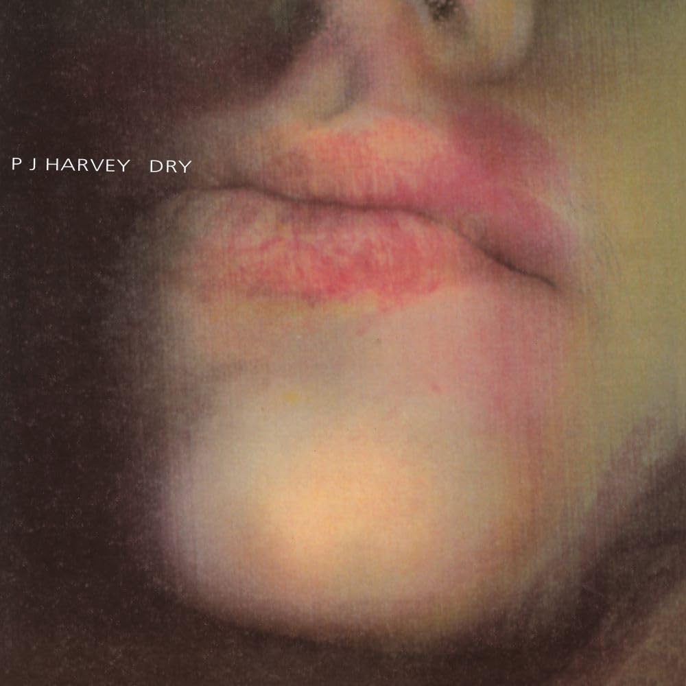 【新品】輸入LP PJ Harvey Dry (日本語帯付き) PURE10LPJP Too Pure 未開封 /00260