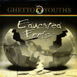 【新品】米LP Various Educated Fools 546041 Tuff Gong US /00250