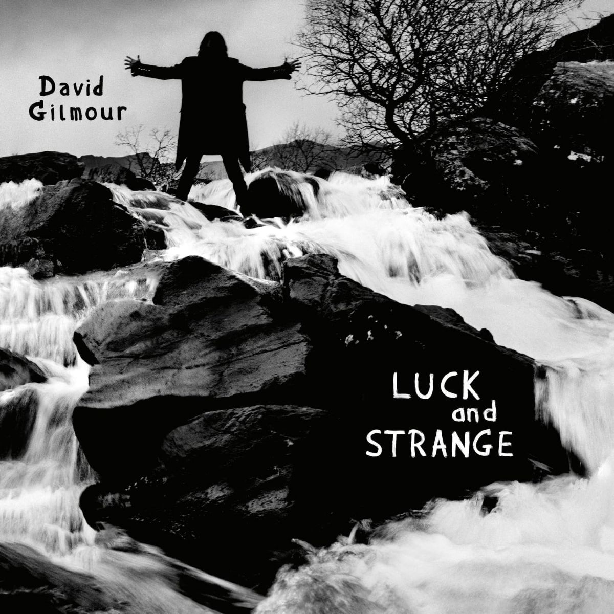 Artist Name: G - 【新品】欧LP David Gilmour Luck And Strange 19802804611 Sony Music 未開封 /00400