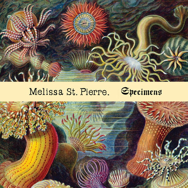 【中古】米CD St Pierre, Melissa Specimens T