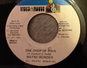 【中古】ジャマイカ7" Wayne Wonder One Drop Of Rain NONE Vibes House /00080