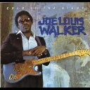 【中古】蘭CD Joe Louis Walker Cold Is The Night HCD8006 Hightone Records /00110