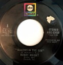 【中古】米7” Bobby Wright Seasons In The Sun ABC11418 ABC Records /00080