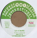 【中古】ジャマイカ7" Natty G Let It Burn NONE Rockers Master International /00080(2)