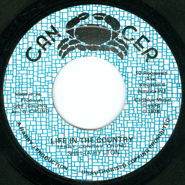 ・アーティスト Sheila Hylton ・タイトル Life In The Country ・レーベル・型番 Cancer NONE ・フォーマット 7インチレコード ・コンディション(盤) 良い (VG+) ・コンディション(ジャケット) プレインカバー（元ジャケット／カバー無し） ・コンディション(帯) オビなし ・特記事項 【盤にヘアライン】 サンプル画像です。実際の商品の画像ではありません 商品写真はバーコード/カタログ番号に対応したサンプル画像ですので、お送りする商品の画像ではありません。帯やライナーなどの付属品は、特記事項に記載されている場合のみ含まれます。プロモやカラーレコードなどの仕様についても、該当する場合のみ特記事項に記載しています。 【ご購入前に必ずご確認ください】 ・本店サイト(www.recordcity.jp)とは価格、送料が違います ・本店サイト、その他支店のオーダーとは同梱発送できません ・注文確定後に別の注文を頂いた場合、注文同士の同梱は致しかねます。 ・別倉庫から発送しているため、店頭受け渡しは対応しておりません ・一部商品は他の通販サイトでも販売しているため、ご注文のタイミングによっては商品のご用意ができない場合がございます。 ・土日祝日はお休みです 金曜・祝前日9時以降のご連絡またはご入金は、返答または発送が週明け・祝日明けに順次対応となります。 ・ご購入後のキャンセル不可 ご購入後のキャンセルはいかなる理由においてもお受けできません。ご了承の上、ご購入くださいませ。 ・日本郵便(ゆうパック/ゆうメール)によるお届けになります。 ・中古品であることをご理解ください 当ストアでは中古商品を主に販売しております。中古品であることをご理解の上ご購入ください。また、一部商品はRecordCityオンラインストアで試聴可能です。 ・返品について お客様のご都合による返品は一切承っておりません。 表記の内容と実際の商品に相違がある場合、また針飛び等で返品・返金をご希望される場合は、商品の到着後1週間以内にご連絡ください。商品の返送をこちらで確認後、キャンセル・返金を行います。 コンディションVG以下の商品は返品できません。プレイに影響のない表面のこすれ傷、プレス起因のノイズ盤は返品の対象外です。 【コンディション表記】 ・ほぼ新品(M-)(Like New) 完全な新品。未使用。当店ではほぼ使用しません ・非常に良い(EX)(Excellent) 中古盤として美品な状態。わずかな経年を感じるものの傷みを感じさせない、当店基準で最高の状態 ・良い(VG+)(Very Good Plus) 丁寧に扱われた中古品で、軽い使用感がみられる。 ・可(VG)(Acceptable) 使い込まれた中古品で、「良い」よりもさらに使用感がみられる。 ・悪い(VG-)(Bad) 状態が悪いアイテム。使用の保障はなく、再生不可、針飛び、目立つノイズがあるかもしれない。状態によるクレーム不可。返品不可。 ・非常に悪い(G)(Very Bad) 「悪い」よりさらに状態が悪いアイテム。使用の保障はなく、再生不可、針飛び、目立つノイズがあるかもしれない。状態によるクレーム不可。返品不可。 ・ジャンク(Fair)(Junk/Fair) 割れている、反っている、水ダメージがある、カビ、ジャケットが分離している、ひどい書き込み、ひどい擦れなど最低の状態。使用の保障はなく、再生不可、針飛び、目立つノイズがあるかもしれない。状態によるクレーム不可。返品不可。 ・ジャンク(Poor)(Junk/Poor) 割れている、反っている、水ダメージがある、カビ、ジャケットが分離している、ひどい書き込み、ひどい擦れなど最低の状態。使用の保障はなく、再生不可、針飛び、目立つノイズがあるかもしれない。状態によるクレーム不可。返品不可。