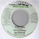 【中古】ジャマイカ7" Collie Buddz, Roache / Jerry Johnson Searching / Panty Inna Town BYNY7079 Big Yard Music Group Ltd. /00080