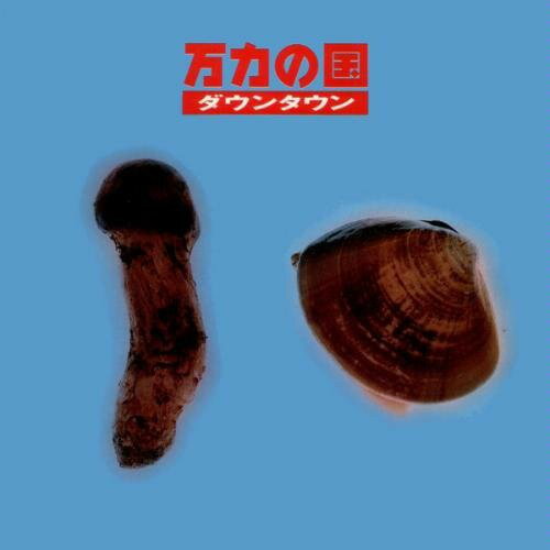 【中古】CD Downtown 万力の国 CSCL1680 CBS/Sony /00110