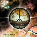 【新品】米CD Various Treatment Riddim CD009 Irie Pen /00095