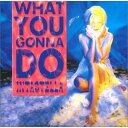 【中古】CD インタステラ ホワット・ユー・ゴナ・ドゥ VICP5677 VICTOR 未開封 /00110
