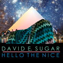 【中古】CD デヴィッド・シュガー ハロー・ザ・ナイス PCD93256 P-Vine Records /00110