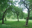 【中古】CD Henning Schmiedt Spazieren FLAU23 flau /00110
