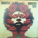 【中古】CD Incognito Amplified Soul PCD24338 P-Vine Records /00110