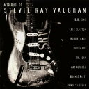 【中古】CD Various A Tribute To Stevie Ray Vaughan ESCA6431 Epic /00110