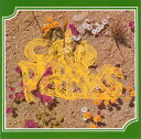 【中古】CD CALE PARKS イルミネイテッド・マニュスクリプト STSL20 Stiff Slack /00110