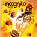 【中古】CD Incognito Surreal PCD24281 P-Vine Records プロモ 未開封 /00110