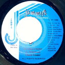 【中古】ジャマイカ7” Chuck Fender Di Girls Need NONE Jammys Records /00080