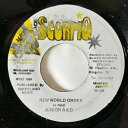 【中古】ジャマイカ7” Junior Reid New World Order BS996 Black Scorpio /00080