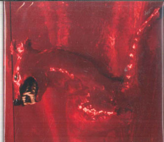 CD William Basinski A Red Score In Tile 20621301 2062 紙ジャケ 未開封 /00110
