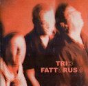 【中古】米CD Trio Fattoruso Trio Fattoruso BW2025 Big World Music /00110