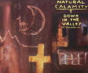 【中古】CD Natural Calamity Down In The Valley (The Field Music Vol.1) TGCS83 Down 2...