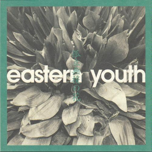楽天市場】eastern youth 孤立無援の花の通販