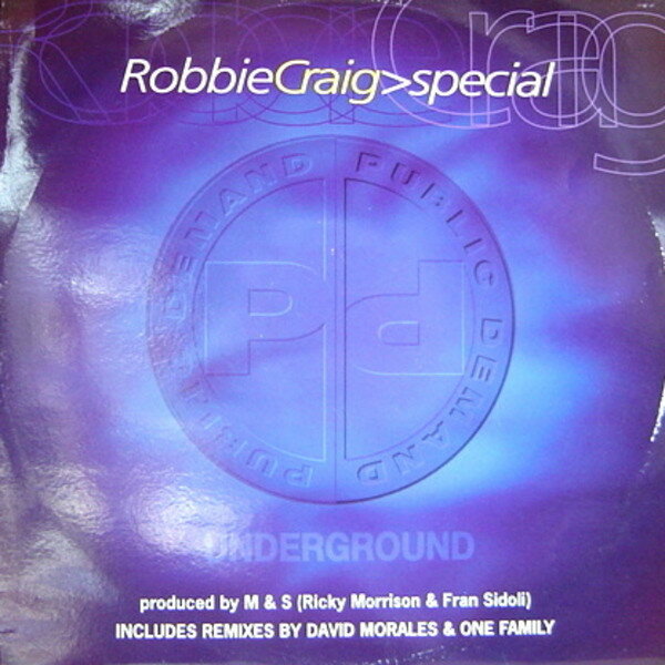 Artist Name: N - 【中古】英12” Robbie Craig Special PPD8T Public Demand /00250