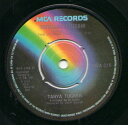 【中古】英7” Tanya Tucker Travelling Salesman MCA216 MCA Records /00080