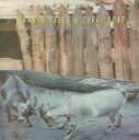 【中古】ジャマイカLP Various Bamboo Fence & Curry Goat - Foundation Dancehall BS1LP50 Black Solidarity /00260