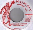 【中古】ジャマイカ7” Brigadier Jerry What Kind Of World NONE Mummy /00080