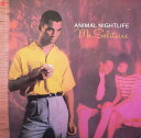 【中古】英7” Animal Nightlife Mr Solitaire (Panther Remix) IS193 Island Records /0008...