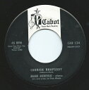 【中古】米7” Mark Medfield Cornish Rhapsody CAB134 Cabot /00080