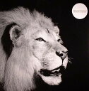 【中古】独12” David Gilmour Girls Crimson As Murder FOR88697021091 Relish Records /00...