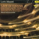 【中古】独LP Johann Strauss Lorin Maazel Wi Live In Vienna 256009910 DEUTSCHE GRAMMOP...