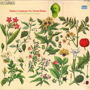 【中古】豪LP Bruno Walter(Cond.)/Columbia S Brahms/Symphony No.1/Bruno Walter CFP4009...