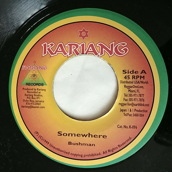 【中古】7” Bushman Somewhere K096 Kariang Records /00080