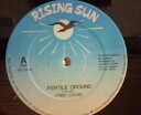 【中古】英12” Fred Locks Fertile Ground RS001 Rising Sun /00250