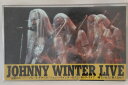 【中古】VHS Beta, Johnny Winnter Live 世紀のスーパー・ブルース・ギタリスト ジョニー RC0001 NIKKATSU /00300