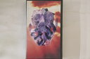 【中古】VHS Luna Sea Sin After Sin MVVD3 MCA /00300