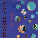 【中古】伊12” Dave Hammond Africa TRD1326 Time Records /00250