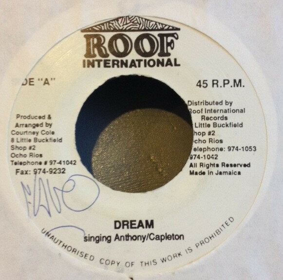 ・アーティスト Singing Anthony / Capleton ・タイトル Dream ・レーベル・型番 Roof International NONE ・フォーマット 7インチレコード ・コンディション(盤) 良い (VG+) ・コンディション(ジャケット) プレインカバー（元ジャケット／カバー無し） ・コンディション(帯) オビなし ・特記事項 【盤に浅い跡】【盤に小さいキズ】 サンプル画像です。実際の商品の画像ではありません 商品写真はバーコード/カタログ番号に対応したサンプル画像ですので、お送りする商品の画像ではありません。帯やライナーなどの付属品は、特記事項に記載されている場合のみ含まれます。プロモやカラーレコードなどの仕様についても、該当する場合のみ特記事項に記載しています。 【ご購入前に必ずご確認ください】 ・本店サイト(www.recordcity.jp)とは価格、送料が違います ・本店サイト、その他支店のオーダーとは同梱発送できません ・注文確定後に別の注文を頂いた場合、注文同士の同梱は致しかねます。 ・別倉庫から発送しているため、店頭受け渡しは対応しておりません ・一部商品は他の通販サイトでも販売しているため、ご注文のタイミングによっては商品のご用意ができない場合がございます。 ・土日祝日はお休みです 金曜・祝前日9時以降のご連絡またはご入金は、返答または発送が週明け・祝日明けに順次対応となります。 ・ご購入後のキャンセル不可 ご購入後のキャンセルはいかなる理由においてもお受けできません。ご了承の上、ご購入くださいませ。 ・日本郵便(ゆうパック/ゆうメール)によるお届けになります。 ・中古品であることをご理解ください 当ストアでは中古商品を主に販売しております。中古品であることをご理解の上ご購入ください。また、一部商品はRecordCityオンラインストアで試聴可能です。 ・返品について お客様のご都合による返品は一切承っておりません。 表記の内容と実際の商品に相違がある場合、また針飛び等で返品・返金をご希望される場合は、商品の到着後1週間以内にご連絡ください。商品の返送をこちらで確認後、キャンセル・返金を行います。 コンディションVG以下の商品は返品できません。プレイに影響のない表面のこすれ傷、プレス起因のノイズ盤は返品の対象外です。 【コンディション表記】 ・ほぼ新品(M-)(Like New) 完全な新品。未使用。当店ではほぼ使用しません ・非常に良い(EX)(Excellent) 中古盤として美品な状態。わずかな経年を感じるものの傷みを感じさせない、当店基準で最高の状態 ・良い(VG+)(Very Good Plus) 丁寧に扱われた中古品で、軽い使用感がみられる。 ・可(VG)(Acceptable) 使い込まれた中古品で、「良い」よりもさらに使用感がみられる。 ・悪い(VG-)(Bad) 状態が悪いアイテム。使用の保障はなく、再生不可、針飛び、目立つノイズがあるかもしれない。状態によるクレーム不可。返品不可。 ・非常に悪い(G)(Very Bad) 「悪い」よりさらに状態が悪いアイテム。使用の保障はなく、再生不可、針飛び、目立つノイズがあるかもしれない。状態によるクレーム不可。返品不可。 ・ジャンク(Fair)(Junk/Fair) 割れている、反っている、水ダメージがある、カビ、ジャケットが分離している、ひどい書き込み、ひどい擦れなど最低の状態。使用の保障はなく、再生不可、針飛び、目立つノイズがあるかもしれない。状態によるクレーム不可。返品不可。 ・ジャンク(Poor)(Junk/Poor) 割れている、反っている、水ダメージがある、カビ、ジャケットが分離している、ひどい書き込み、ひどい擦れなど最低の状態。使用の保障はなく、再生不可、針飛び、目立つノイズがあるかもしれない。状態によるクレーム不可。返品不可。
