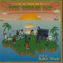 【中古】MIX CD Burn DOWN Irie Reggae Vol .2 BDRCD003 BURN DOWN /00110