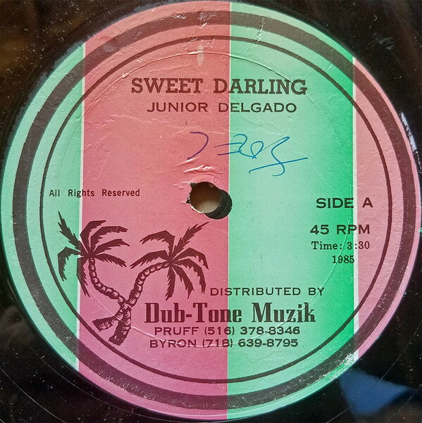 輸入12” Junior Delgado Sweet Darling NONE Dub-Tone-Muzik /00250